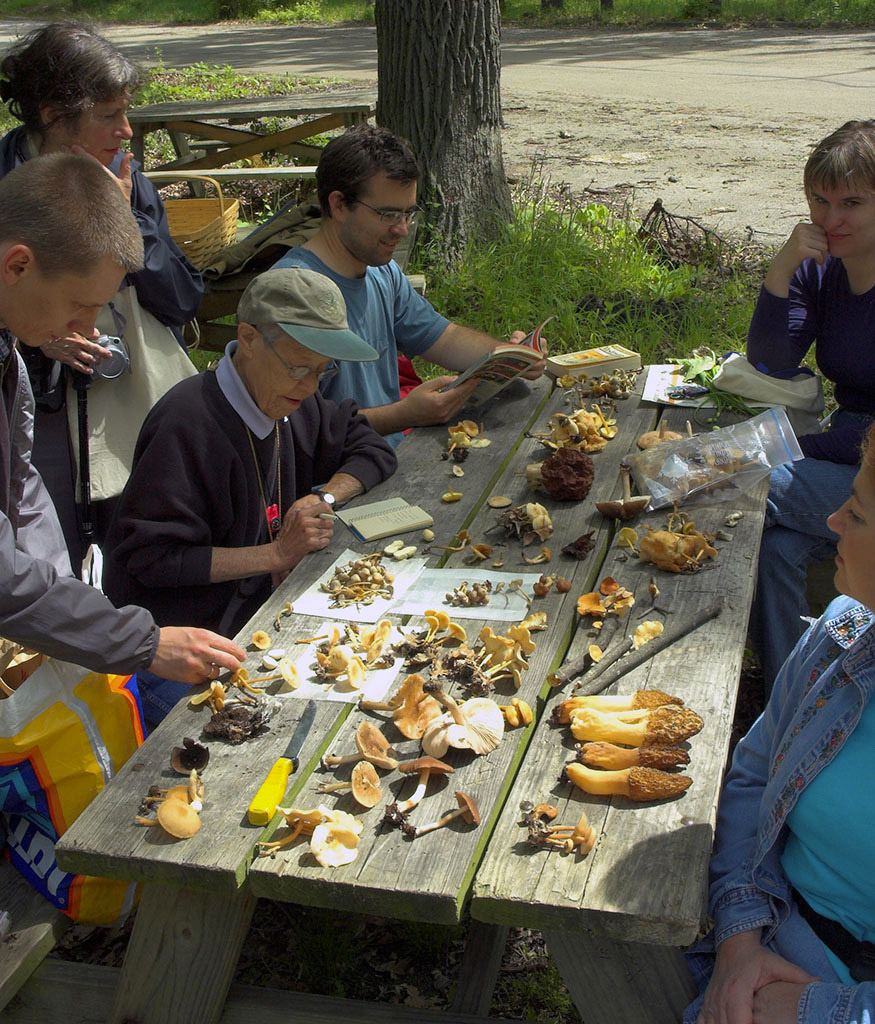 Eileen Schutte recording mushrooms at a foray, 2006.