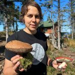 Edible Mushrooms of Illinois
