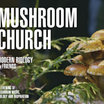 Mushroom Church