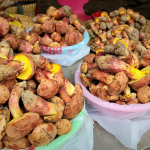 March Monthly Lecture: Seeing the Little People: The History and Mystery of Psychoactive Bolete Mushrooms